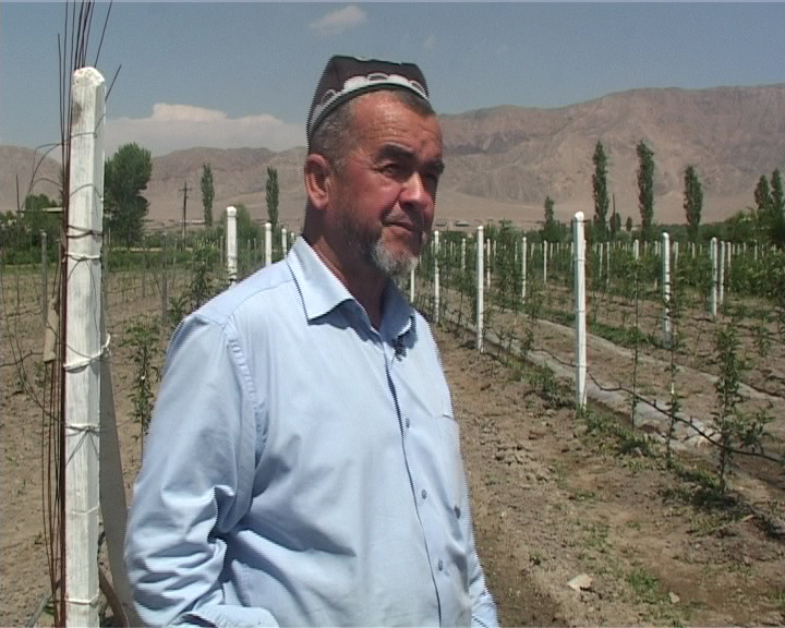 Погода исфара 14 дней. Таджикистан Исфара Лаккон. Исфара 1992. Дехаи Кулканд. Кулканд Исфара.